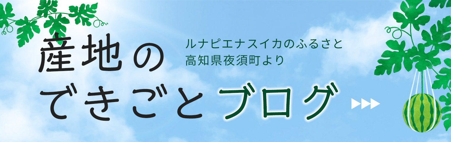 ブログ　産地のできごと