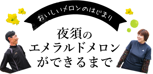 おいしいメロンのはじまり【エメラルドメロンができるまで】