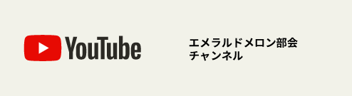 エメラルドメロン部会オフィシャルチャンネル