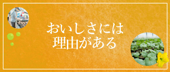 おいしさには理由がある